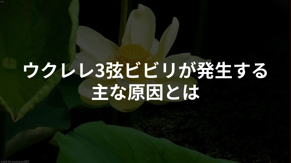 ウクレレ3弦ビビリが発生する主な原因とは