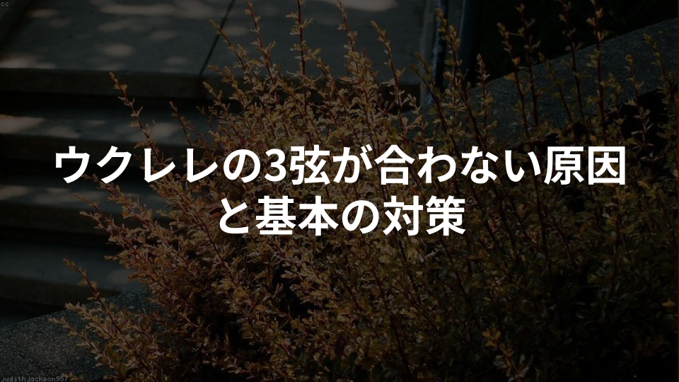 ウクレレの3弦が合わない原因と基本の対策